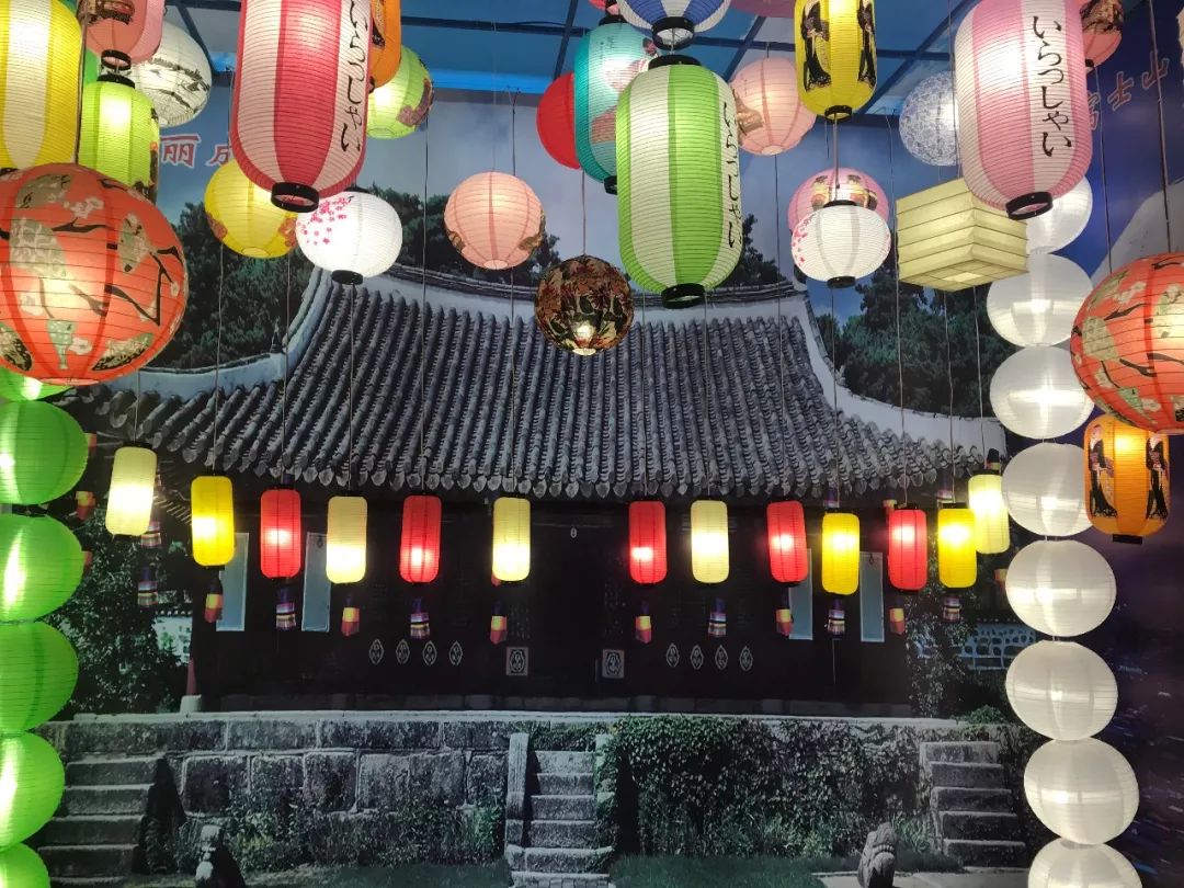 你们的蛙儿子为什么不回家？