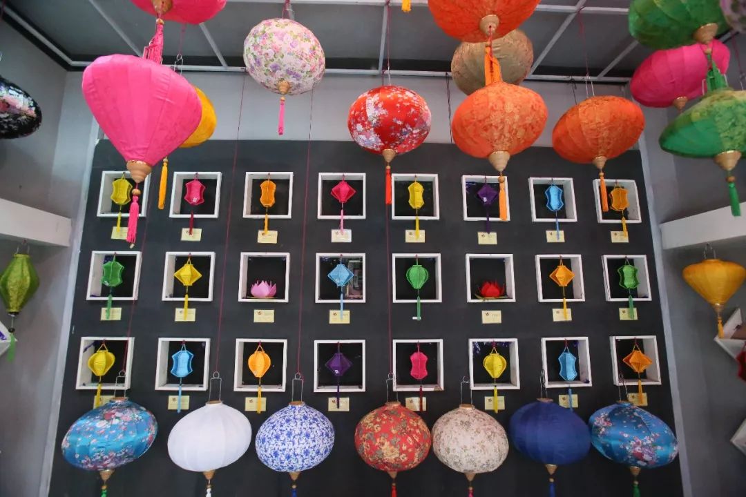 你们的蛙儿子为什么不回家？