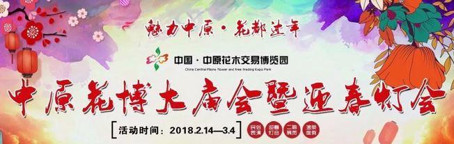 震撼，百米火龙+巨型摇钱树亮相鄢陵花博园！