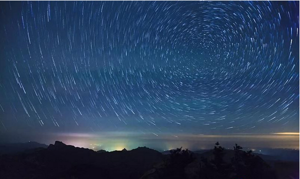 2018年,洛阳白云山和您一起犬力以赴好好生活！
