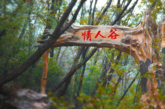 郑少高速对豫A小汽车免费啦！自驾大熊山品山水之美，近郊游最佳地！