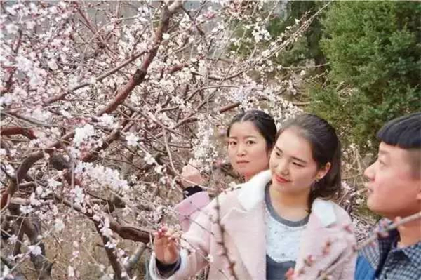 我的节日我做主 三八女神节来五龙口放个假 我的节日我做主 三八女神节来五龙口放个假