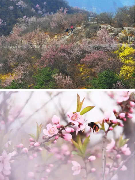 “女神节”来啦！青天河让你免费玩！
