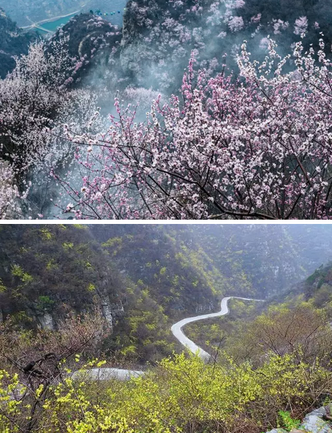 “女神节”来啦！青天河让你免费玩！