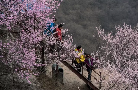 “女神节”来啦！青天河让你免费玩！