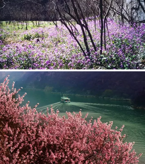 “女神节”来啦！青天河让你免费玩！