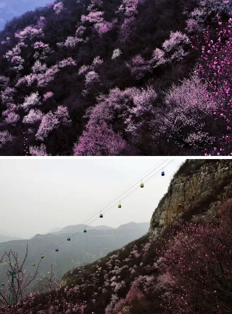 “女神节”来啦！青天河让你免费玩！
