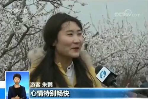 不到二十四小时 央视四次聚焦芒砀山