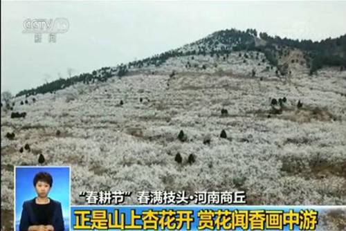 不到二十四小时 央视四次聚焦芒砀山