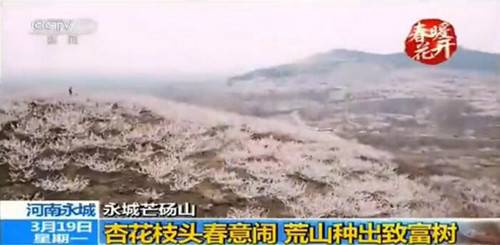 不到二十四小时 央视四次聚焦芒砀山