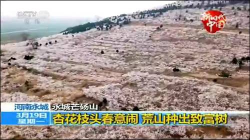 不到二十四小时 央视四次聚焦芒砀山