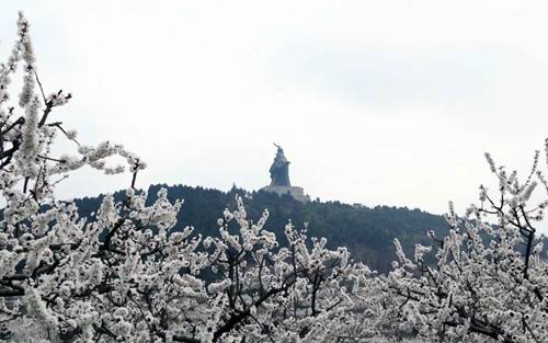 不到二十四小时 央视四次聚焦芒砀山