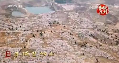 不到二十四小时 央视四次聚焦芒砀山