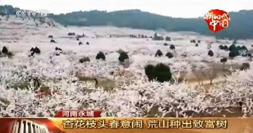 不到二十四小时 央视四次聚焦芒砀山