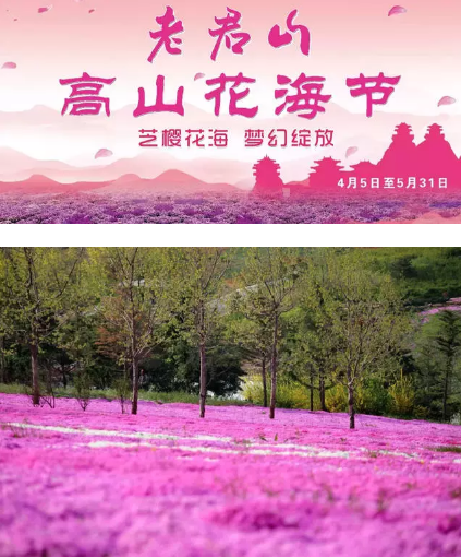 2018老君山高山花海节即将开幕，送你最全旅游攻略！