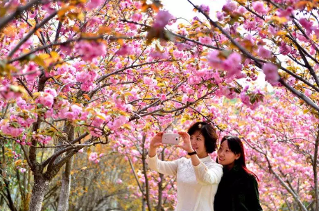 奔跑吧，黄河小浪底！最美半程马拉松喊你来报名！｜旅游