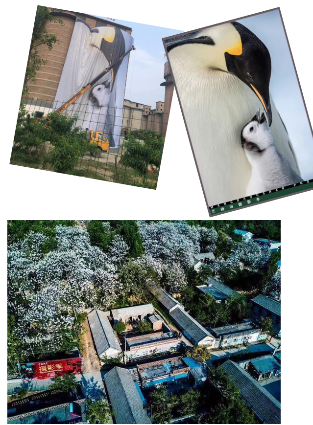 游人井喷——芒砀山旅游区五一节欢乐火爆
