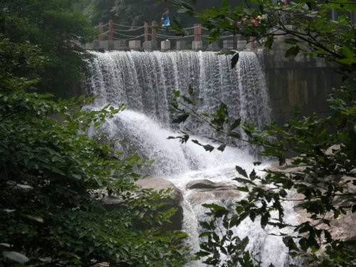 春色撩人 洛阳白云山旅游又现小高峰