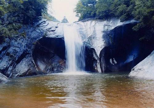 春色撩人 洛阳白云山旅游又现小高峰