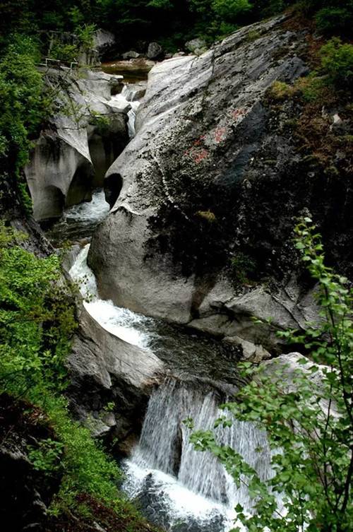 春色撩人 洛阳白云山旅游又现小高峰