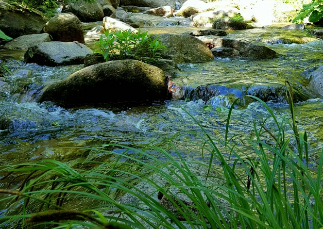 五月白云山春浅夏深