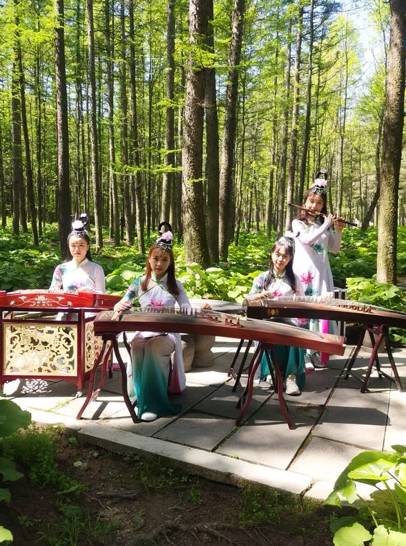 第三届洛阳白云山杯中国围棋棋圣战半决赛和挑战者决定赛在洛阳白云山旅游度假区圆满落幕