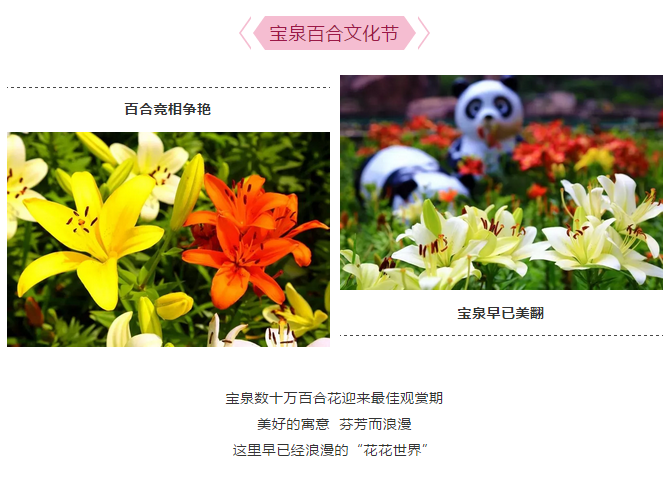 精彩不断，“粽”情狂欢，宝泉端午特别活动盛大开启