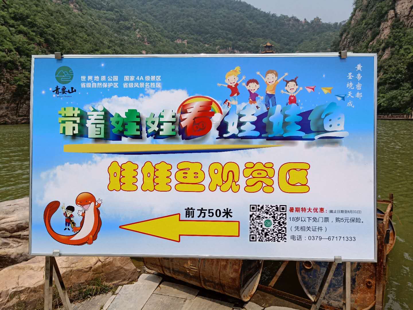 洛阳青要山景区邀您带着娃娃看“娃娃鱼”暑期优惠活动开启啦！