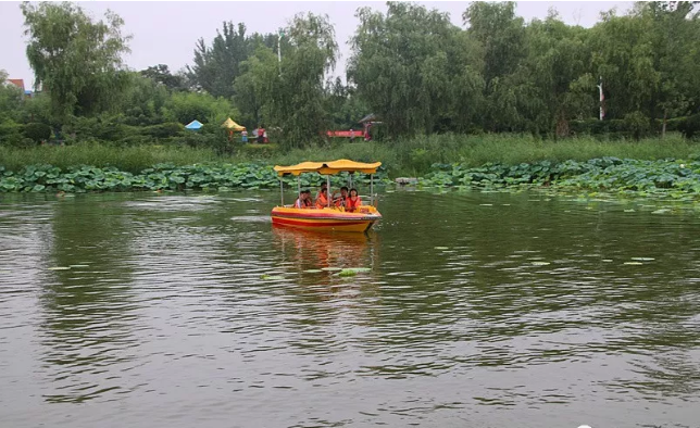 2018中国·淮阳赏荷旅游月开幕式活动集锦