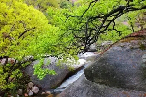 自驾游嵩县 高速全免费 嵩县召开高速公路免费活动动员大会