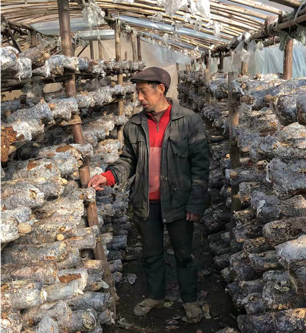 南阳五朵山景区探索多种旅游扶贫模式
