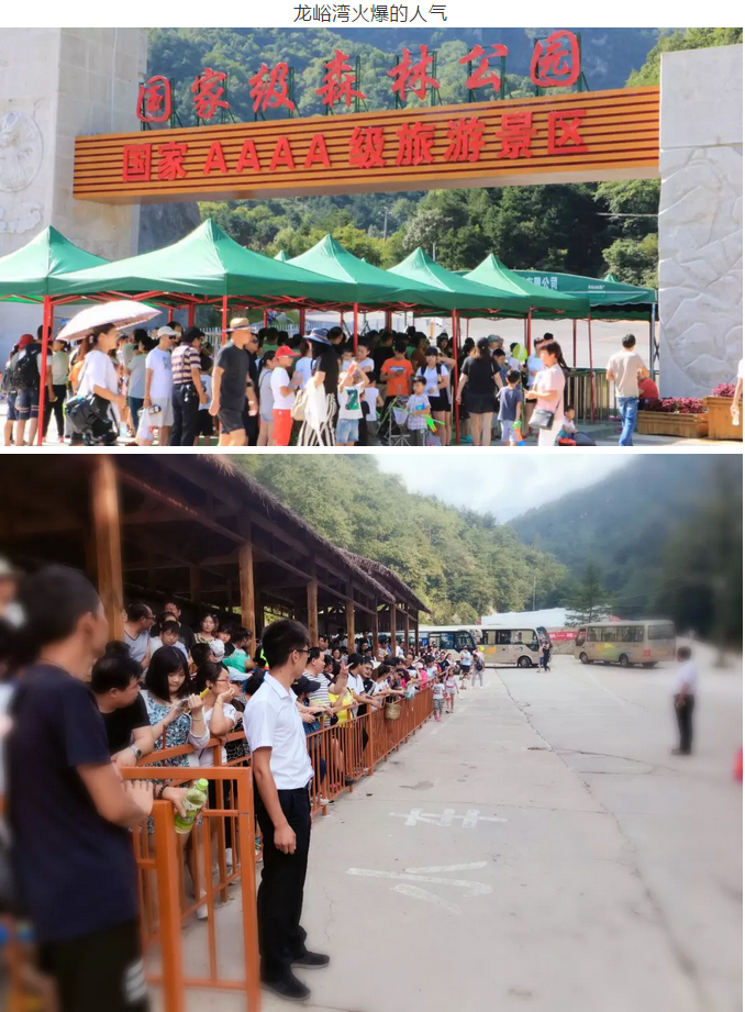 疯了吧 ?一车人就买一张票？
