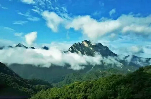 受暴雨影响 洛阳白云山景区紧急闭园 开园时间另行公告