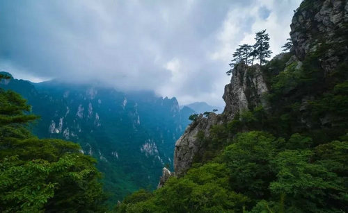 高速免费 西峡有三味降暑良方要送给你