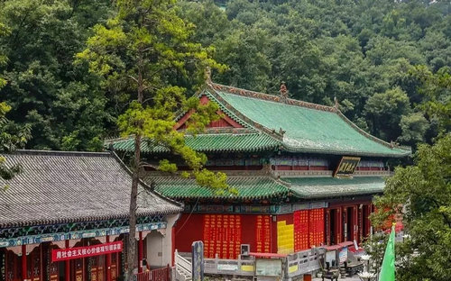 高速免费 西峡有三味降暑良方要送给你
