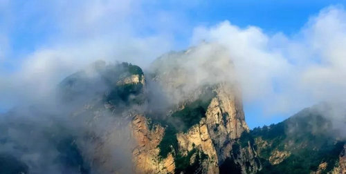 高速免费 西峡有三味降暑良方要送给你