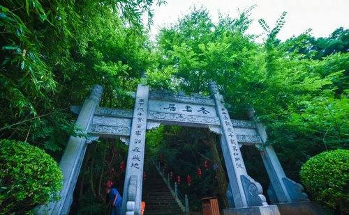 高速免费 西峡有三味降暑良方要送给你