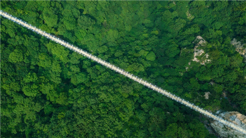 过路费抵门票，23℃洛阳木札岭邀您开启清凉避暑之旅！