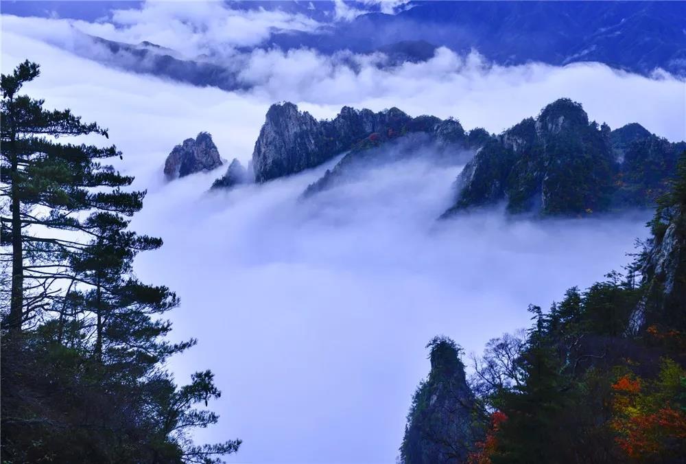 献礼教师节！老君山对全国教师及家属免门票啦！