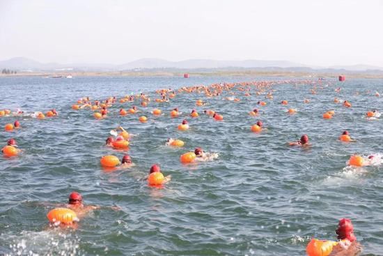 2018渠首淅川·丹江湖国际公开水域游泳挑战赛举行