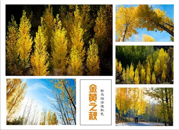 中秋、国庆长假怎么玩？ 美食、节目、特惠活动…你想要的汝州都有！