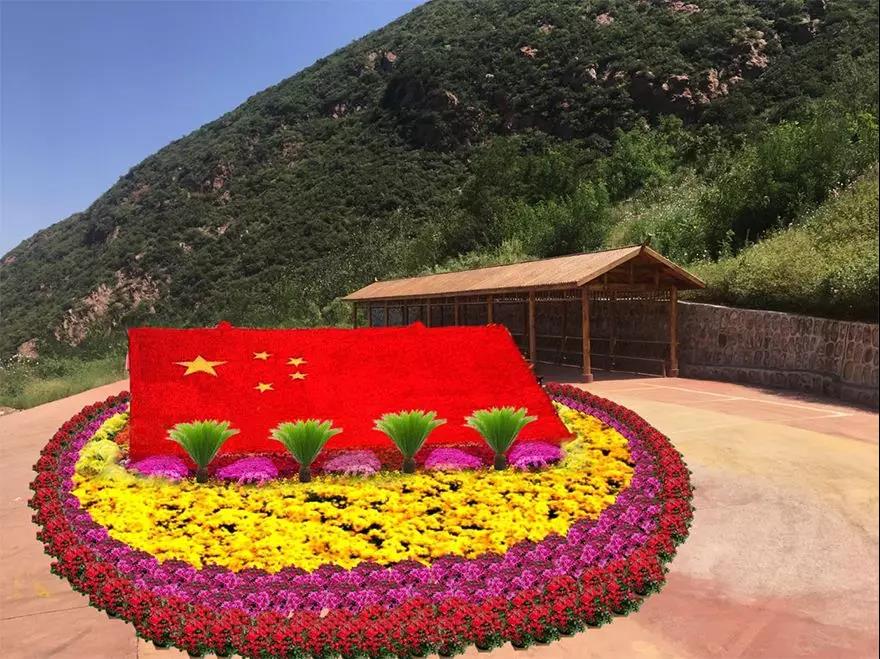 大熊山仙人谷首届山地菊花文化节惊艳来袭! 大熊山仙人谷首届山地菊花文化节惊艳来袭!