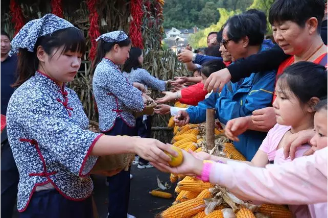 河南数名妙龄村姑端出“丰收大餐”万斤秋果免费送欢庆丰收节