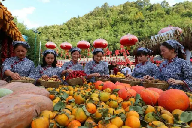 河南数名妙龄村姑端出“丰收大餐”万斤秋果免费送欢庆丰收节