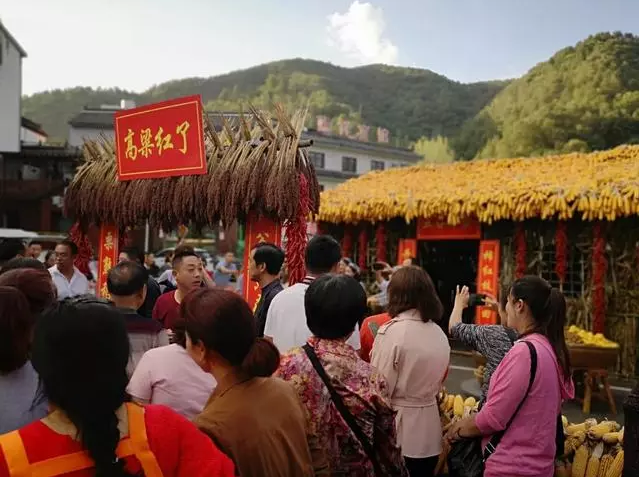 河南数名妙龄村姑端出“丰收大餐”万斤秋果免费送欢庆丰收节