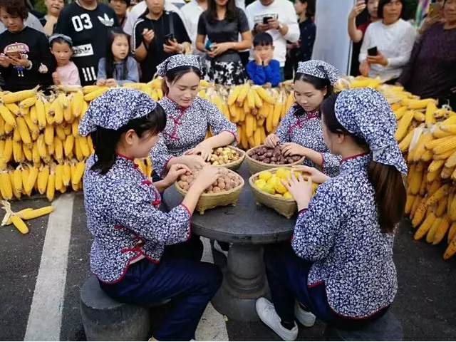 河南数名妙龄村姑端出“丰收大餐”万斤秋果免费送欢庆丰收节