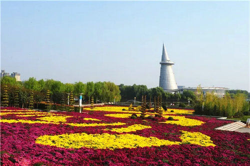 绿博园：蝴蝶兰展、菊展节后仍将继续