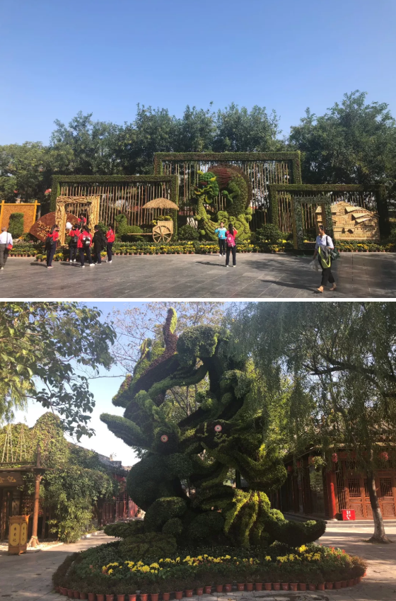 目测要火！中国开封第36届菊花文化节主会场清明上河园赏花攻略抢先看！