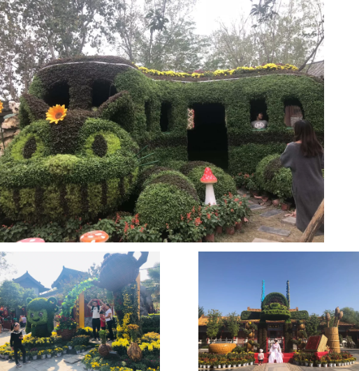 目测要火！中国开封第36届菊花文化节主会场清明上河园赏花攻略抢先看！