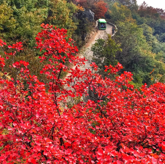 【重磅消息】2018”三山同登“群众登山健身大会新乡南太行关山分会场开始征集报名啦！